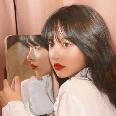我的“狐朋狗友”
